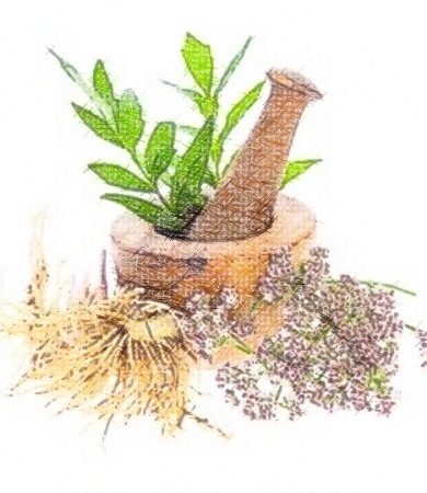 Plantes officinales