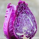 Chou Rouge 'Kalibos' Graines