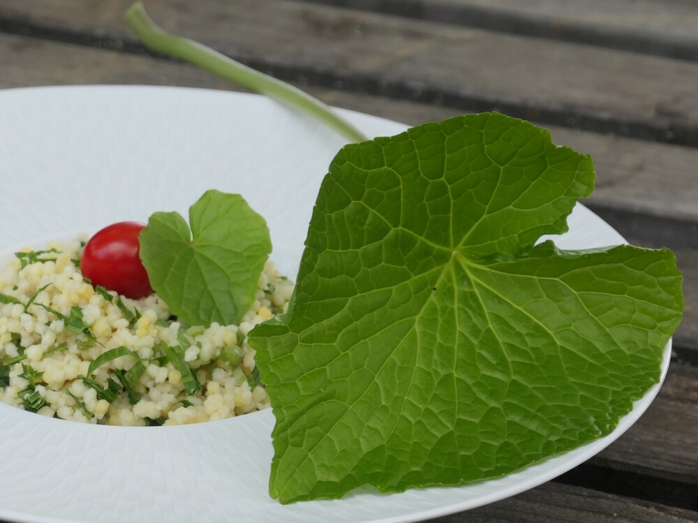 Wasabi : un condiment Japonais au goût unique