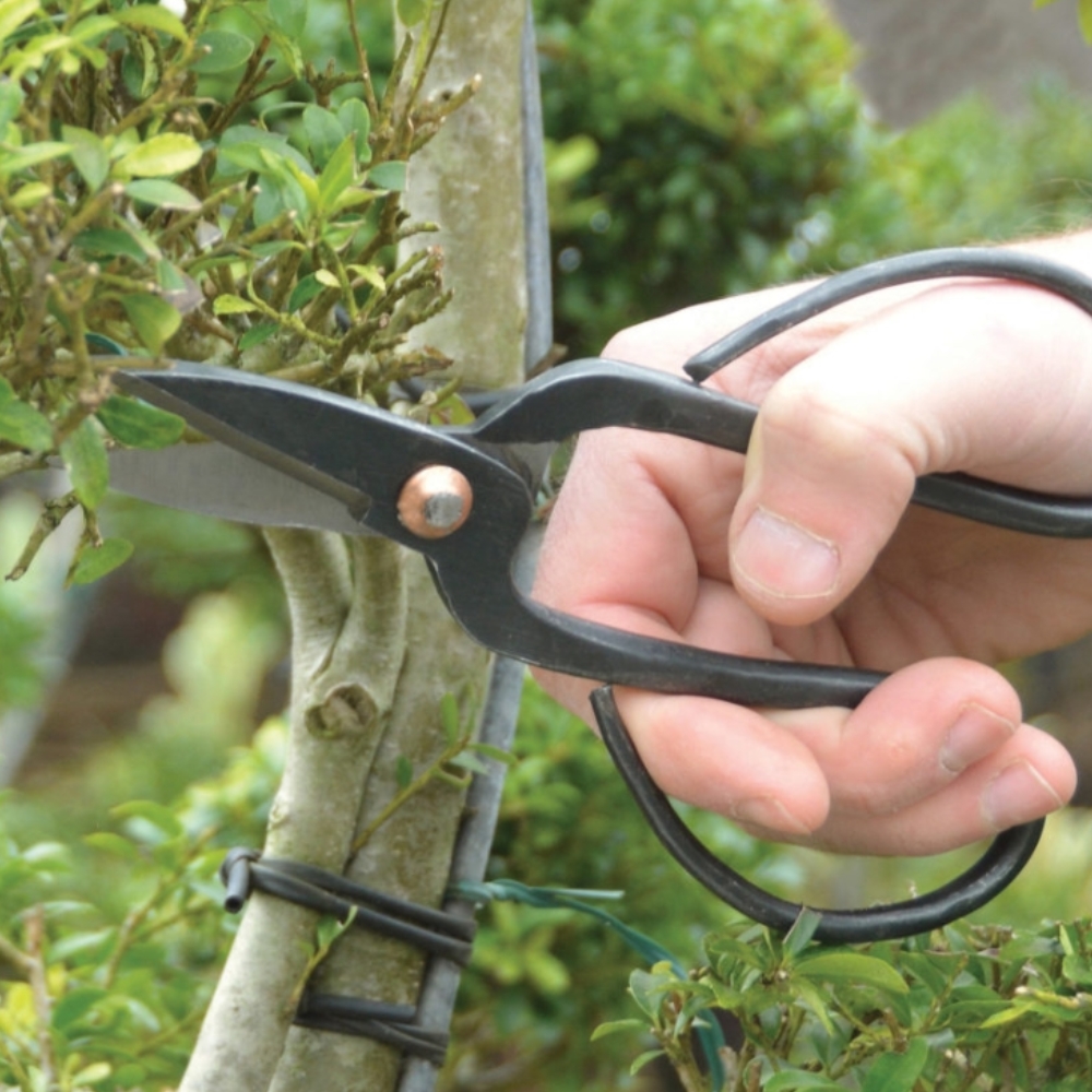 Petits ciseaux Dingmu - Ciseaux pour la défoliation des bonsai