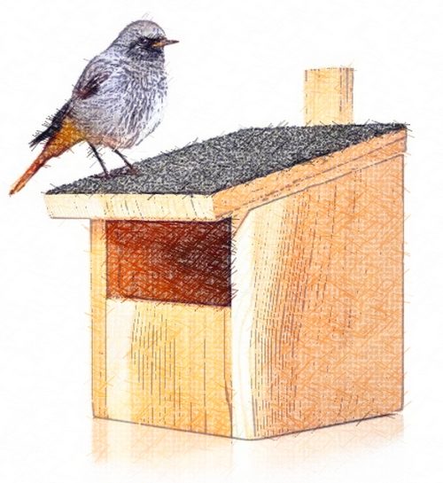 Biodiversité au jardin