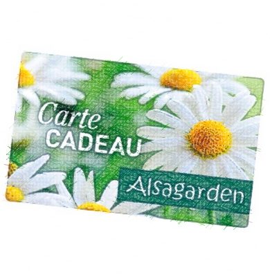 Cartes cadeaux