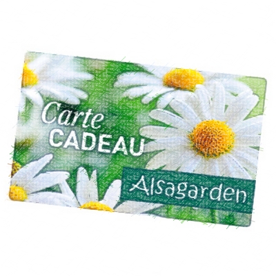 Cartes cadeaux