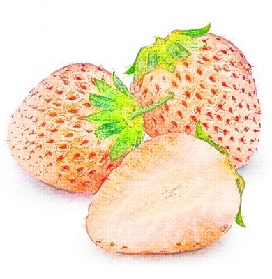 Les fraises