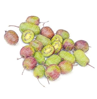 Fruits originaux