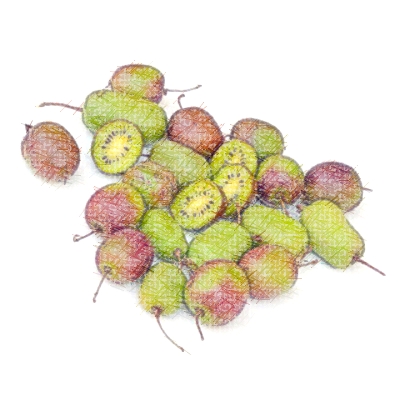 Fruits originaux
