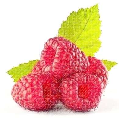 Fruitiers rustiques