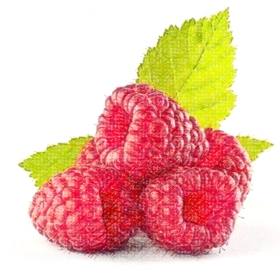 Fruitiers rustiques