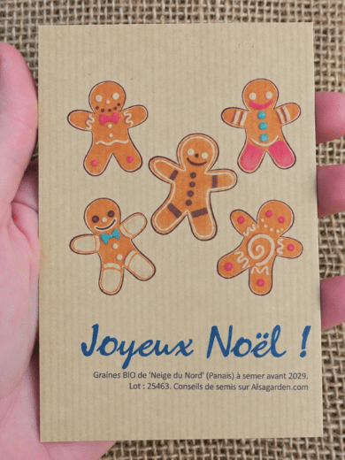 Carte de vœux à semer "Joyeux Noël" (Petits biscuits) - Graines de 'Neige du Nord'
