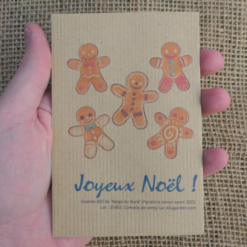 Carte de vœux à semer "Joyeux Noël" (Petits biscuits) - Graines de 'Neige du Nord'