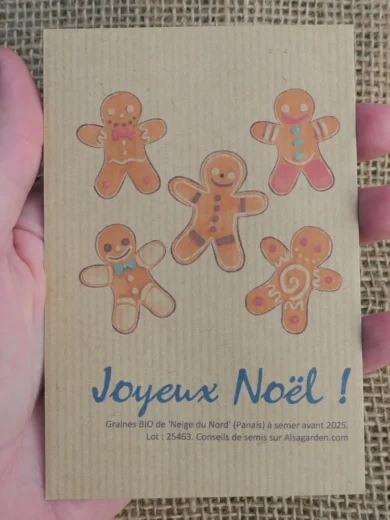 Carte de vœux à semer "Joyeux Noël" (Petits biscuits) - Graines de 'Neige du Nord'