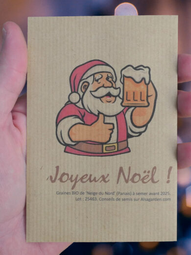 Carte de vœux à semer "Joyeux Noël" (Papa Noël) - Graines de 'Neige du Nord'