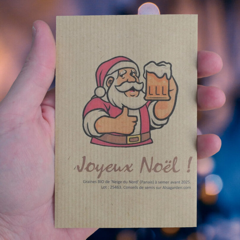 Carte de vœux à semer "Joyeux Noël" (Papa Noël) - Graines de 'Neige du Nord'