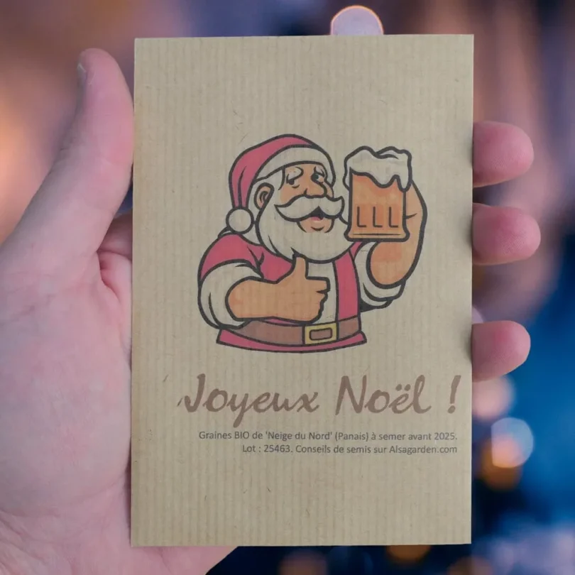 Carte de vœux à semer “Joyeux Noël” (Papa Noël) – Graines de ‘Neige du Nord’