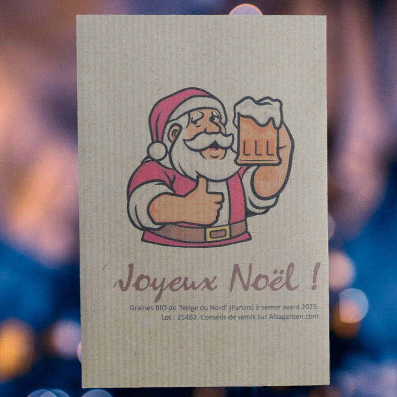 Carte de vœux à semer "Joyeux Noël" (Papa Noël) - Graines de 'Neige du Nord' – Image 2