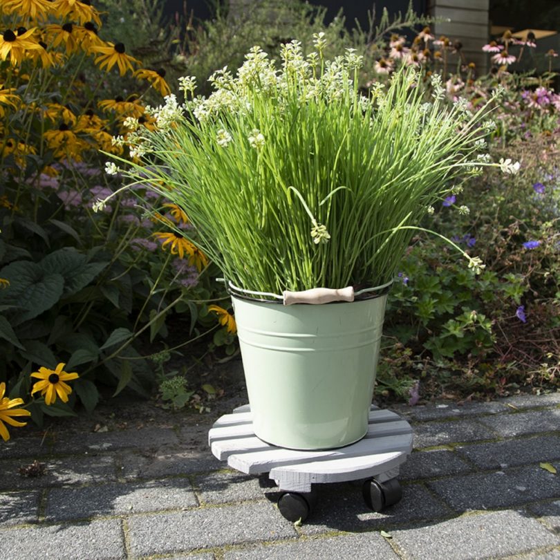 Plateau roulant rond pour plantes (taille S)