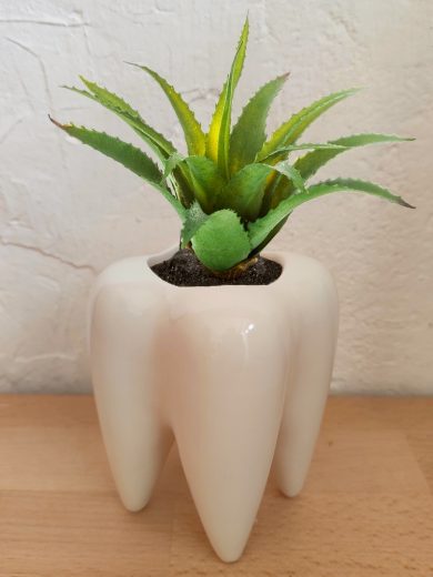 Pot de fleur en forme de dent