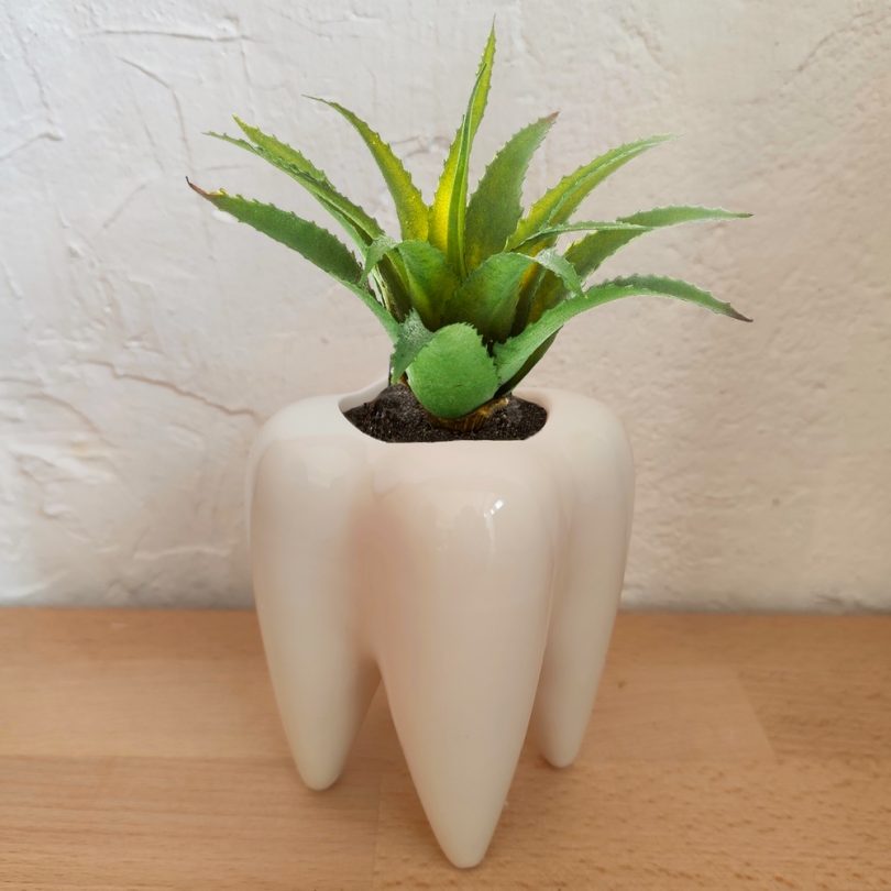 Pot de fleur en forme de dent
