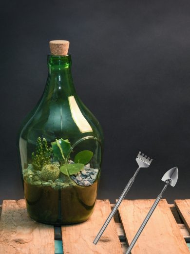 Set outils de jardin pour terrarium