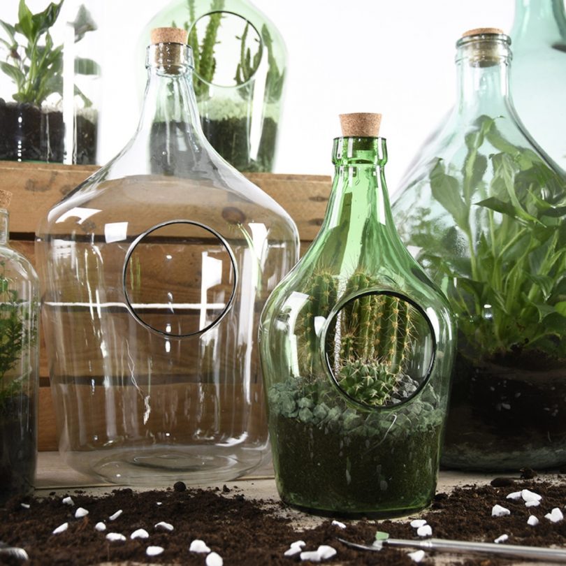 Set outils de jardin pour terrarium – Image 3