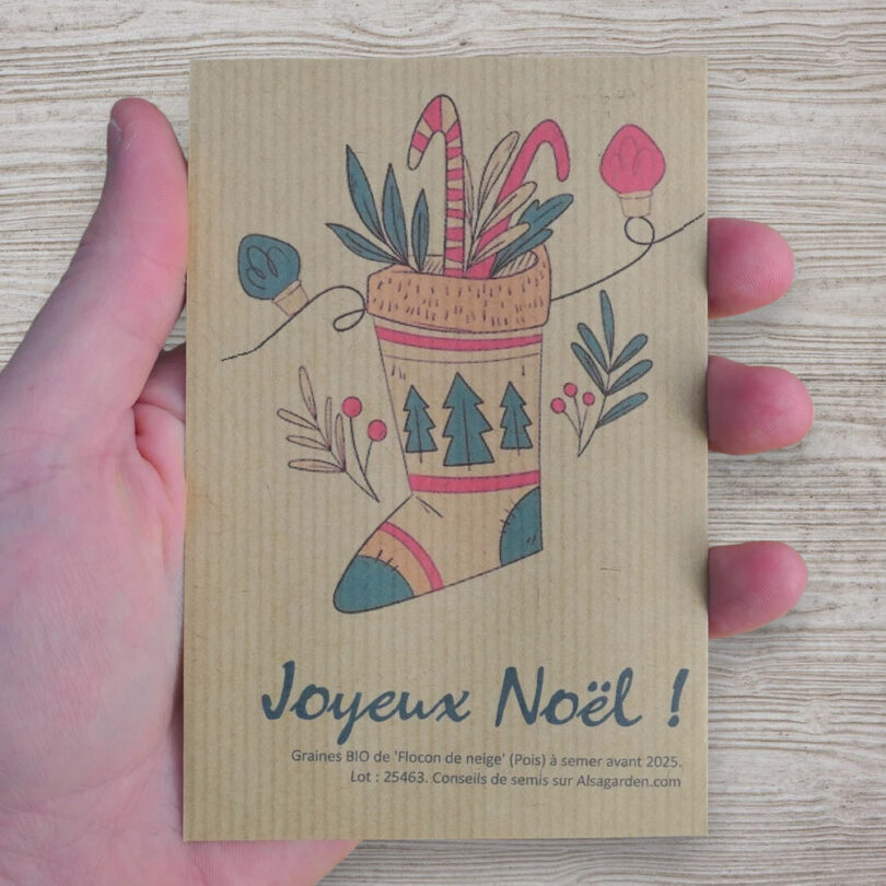 Carte de vœux à semer "Joyeux Noël" (Chaussette) - Graines de 'Flocon de Neige'