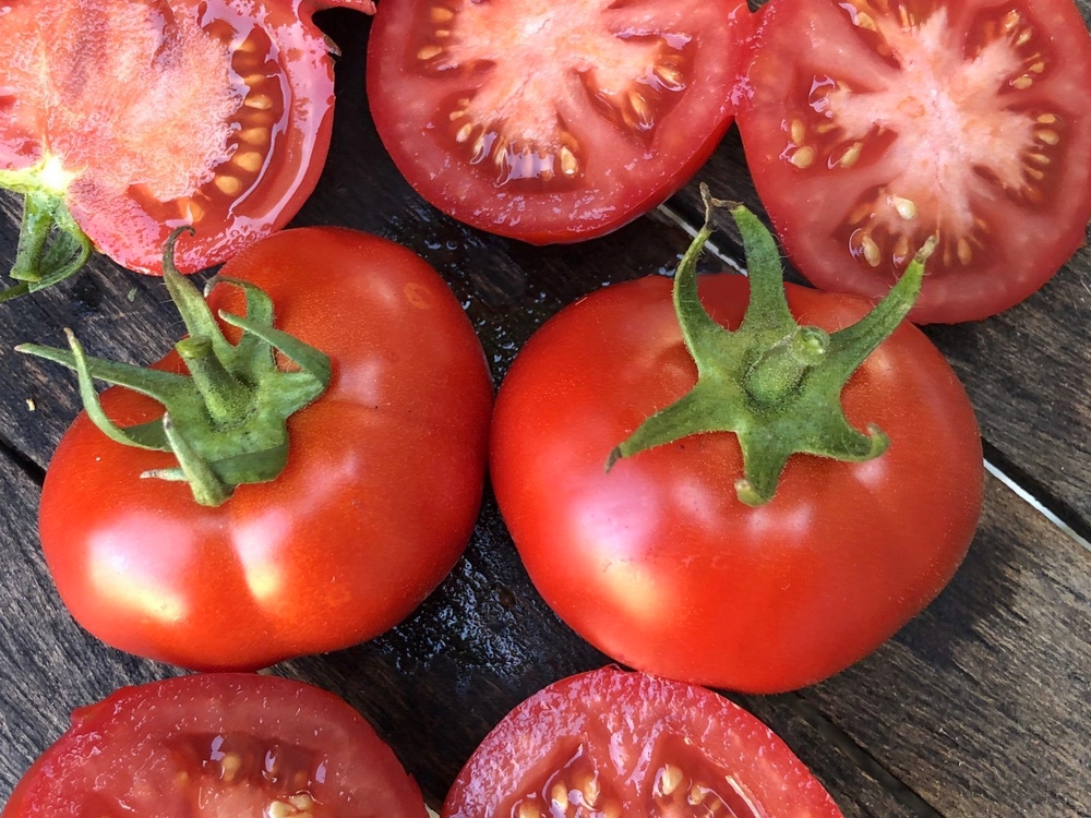 Graines de Tomates cerises – 6 variétés à découvrir ou à redécouvrir