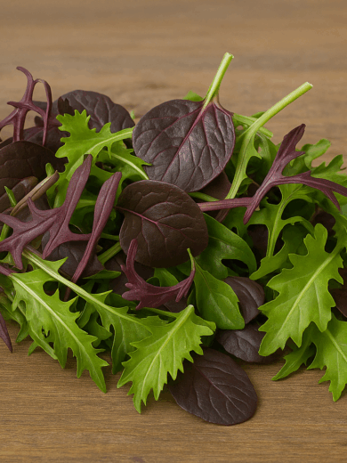 Mesclun Asiatique (Mélange à salades) Graines