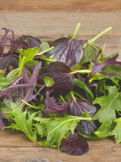 Mesclun Asiatique (Mélange à salades) Graines