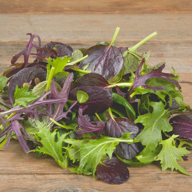 Mesclun Asiatique (Mélange à salades) Graines