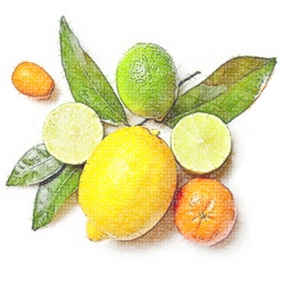 Fruit Plants