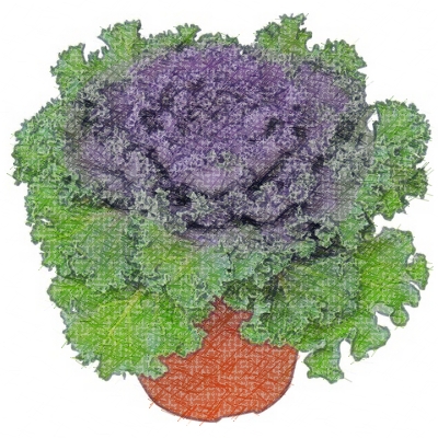 Vegetable Plants