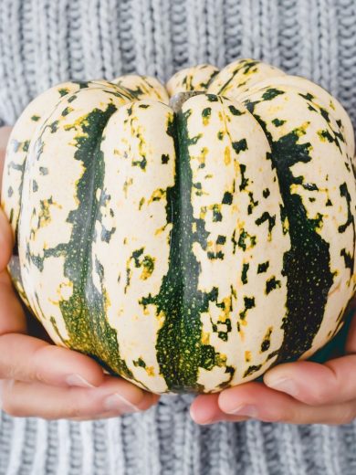 Courge Patidou 'Sweet Dumpling' (Cucurbita pepo) Graines