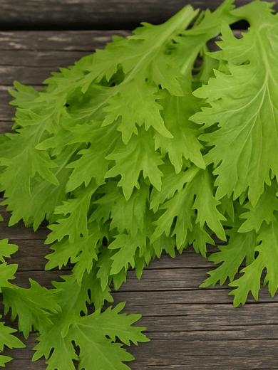 Chou Wasabino (Brassica rapa japonica) Graines – Image 3