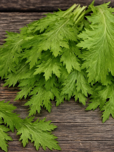 Chou Wasabino (Brassica rapa japonica) Graines