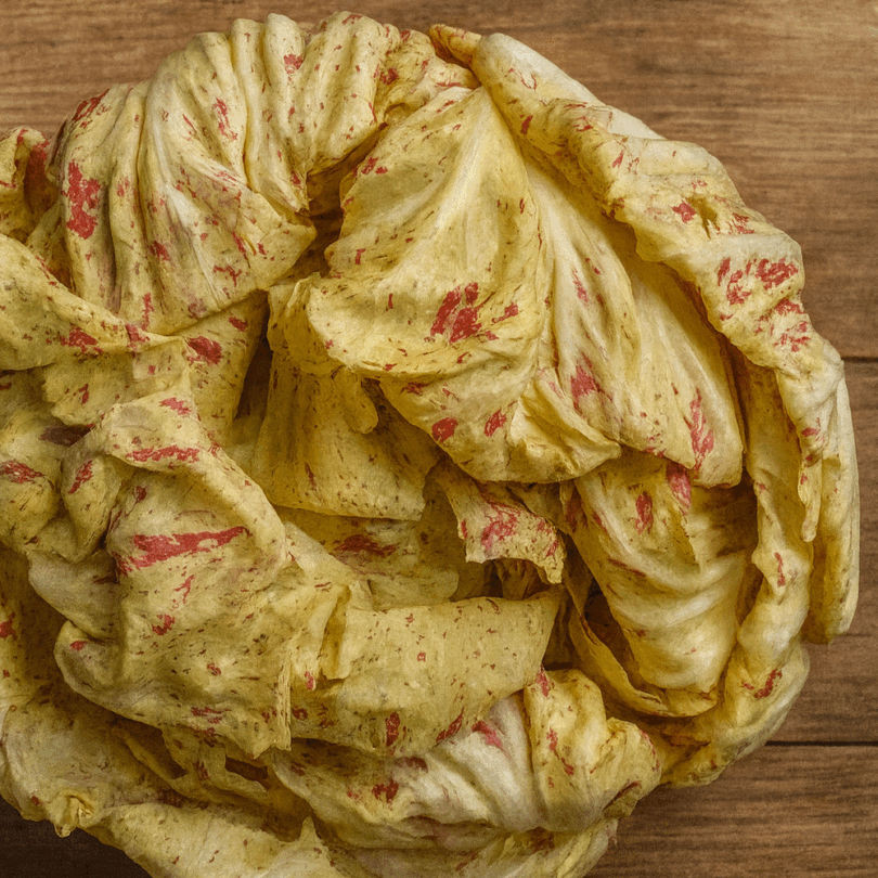 Chicorée 'Variegata Di Castelfranco' (Variété ancienne) Graines – Image 3