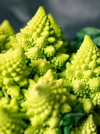 Chou-Fleur 'Romanesco Natalino' (Variété ancienne) Graines – Image 2