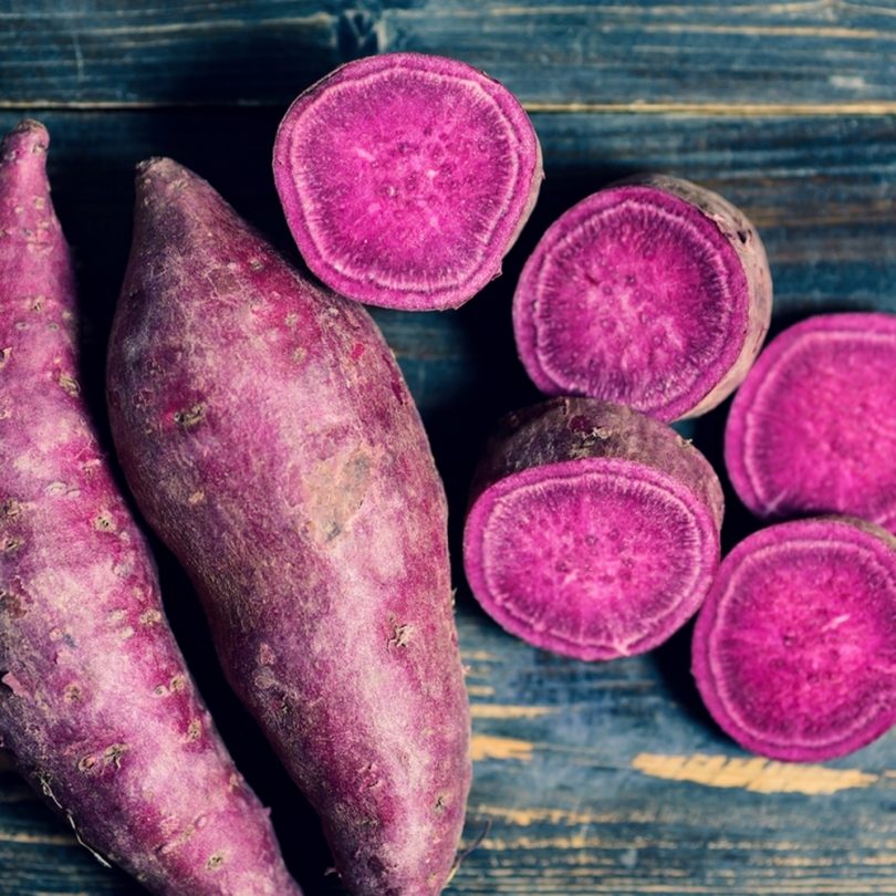 Patate douce 'Violetta' (Ipomoea batatas) Plant