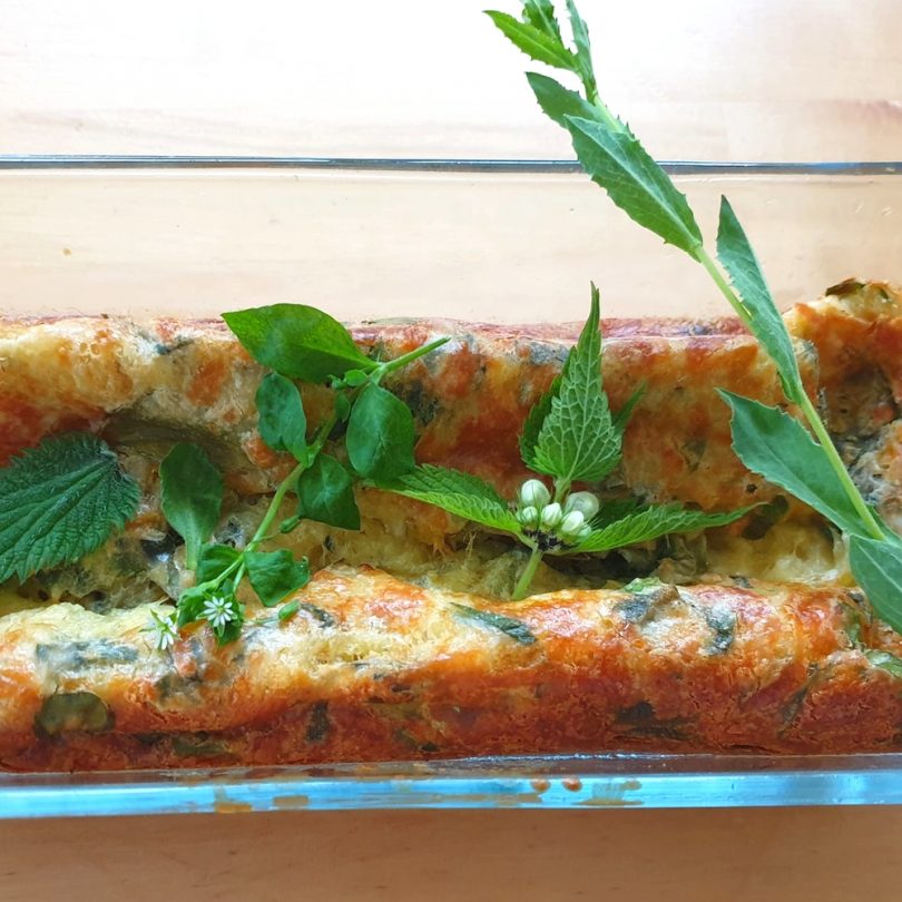 Atelier : Découverte des plantes sauvages comestibles (2h00) – Image 2