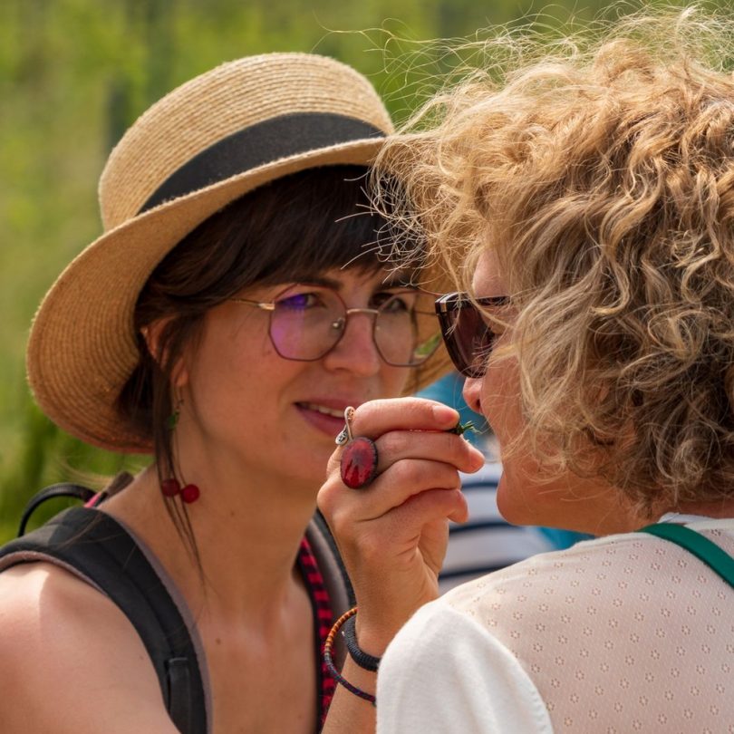 Atelier : Découverte des plantes sauvages comestibles (2h00) – Image 4