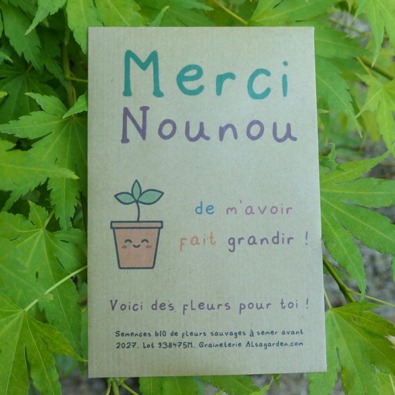 Carte de vœux à semer "Merci Nounou" (Jeune pousse) - Graines de Fleurs sauvages – Image 2