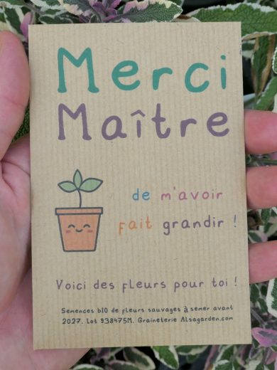 Carte de vœux à semer "Merci Maître" (Jeune pousse) - Graines de Fleurs sauvages