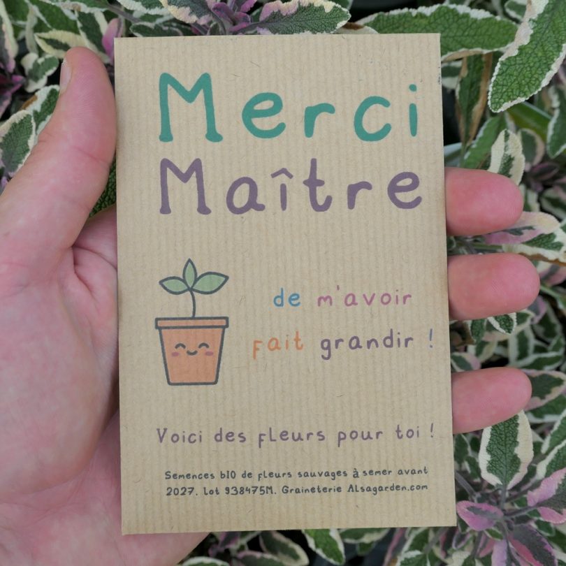 Carte de vœux à semer "Merci Maître" (Jeune pousse) - Graines de Fleurs sauvages