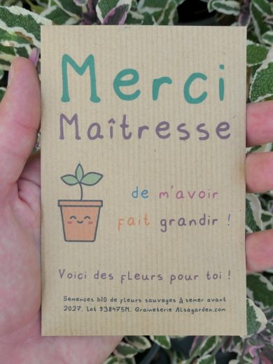Carte de vœux à semer "Merci Maîtresse" (Jeune pousse) - Graines de Fleurs sauvages