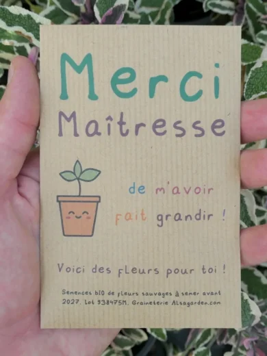 Carte de vœux à semer "Merci Maîtresse" (Jeune pousse) - Graines de Fleurs sauvages