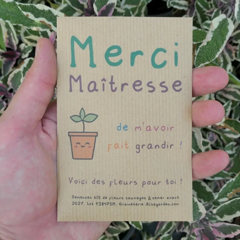 Carte de vœux à semer “Merci Maîtresse” (Jeune pousse) – Graines de Fleurs sauvages