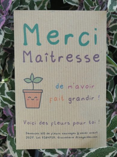 Carte de vœux à semer "Merci Maîtresse" (Jeune pousse) - Graines de Fleurs sauvages – Image 2