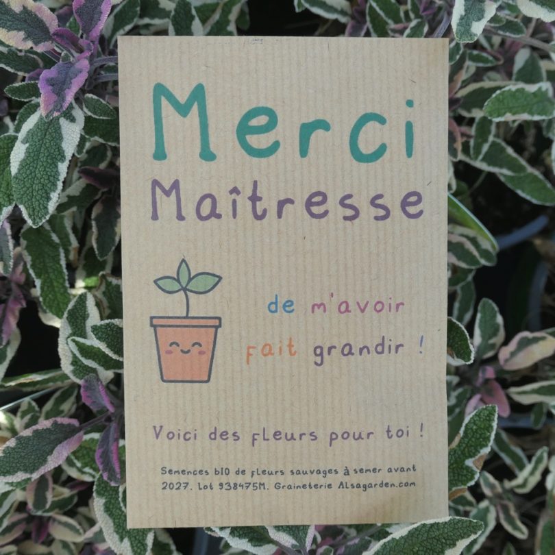 Carte de vœux à semer "Merci Maîtresse" (Jeune pousse) - Graines de Fleurs sauvages – Image 2