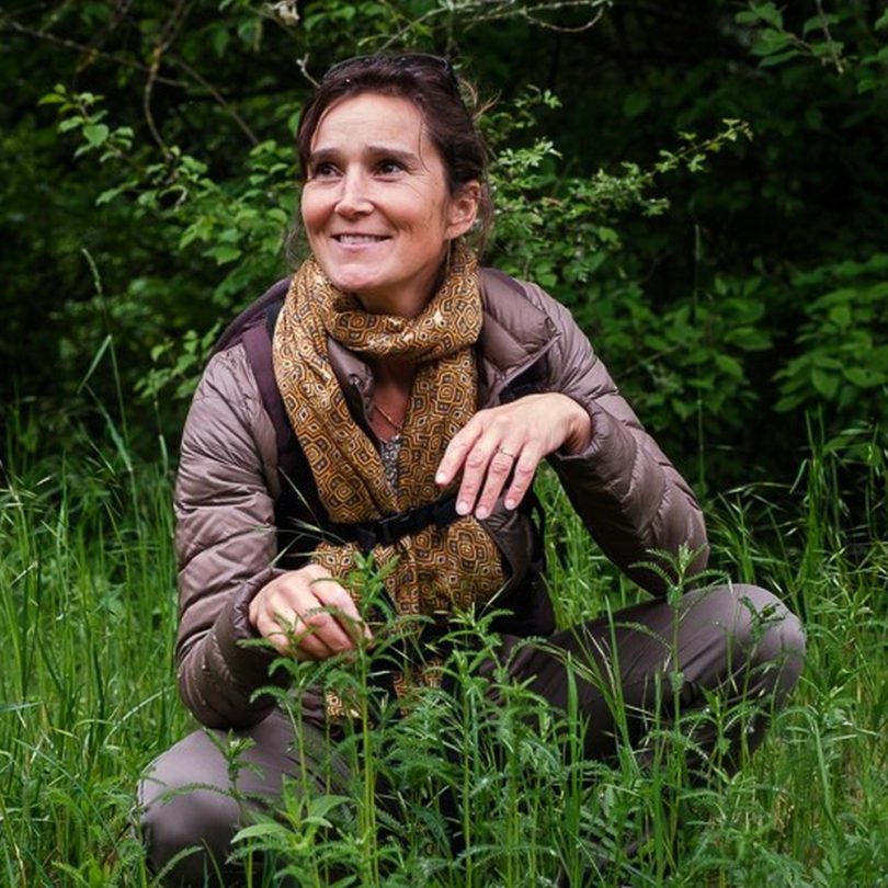 Atelier : Les Plantes sauvages comestibles en cuisine (2h30) – Image 3
