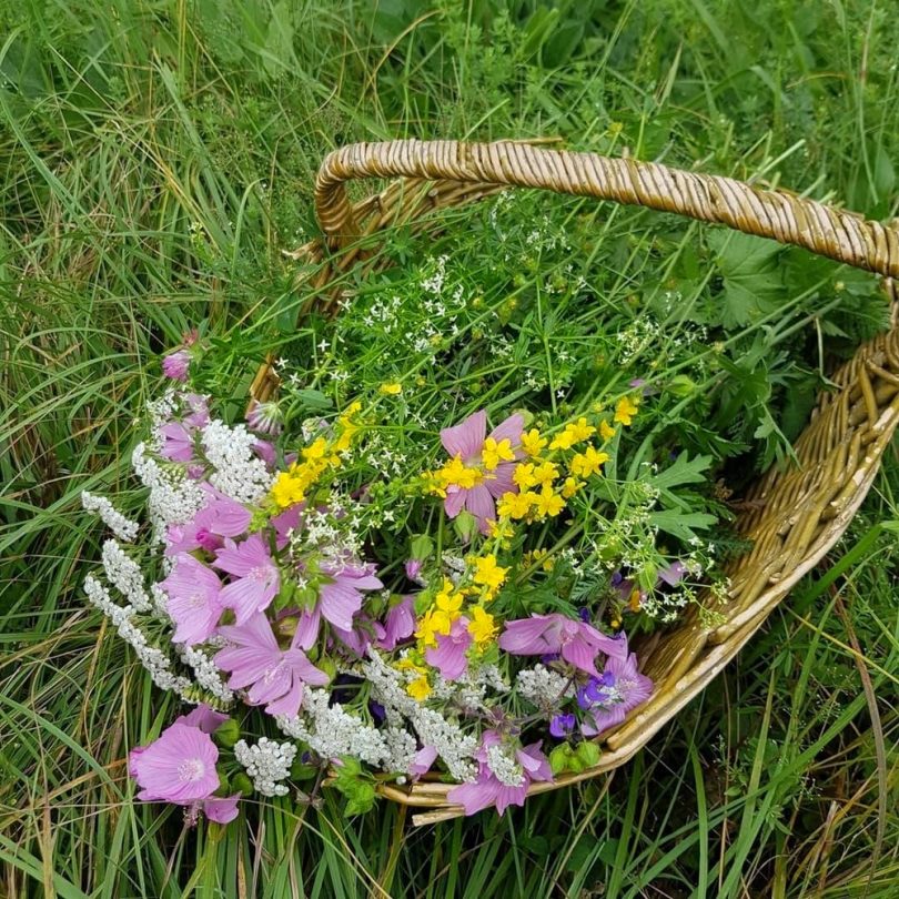 Séminaires & Team Building autours des plantes – Image 4