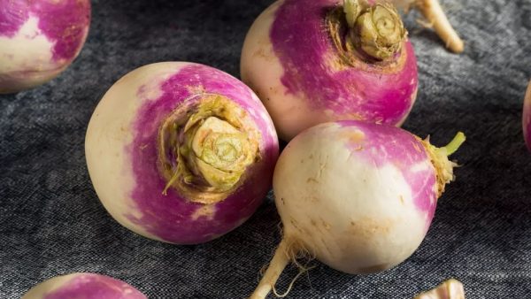 Fabriquer vos propres nouilles de Konjac à partir du tubercule, étape par  étape ! - Alsagarden